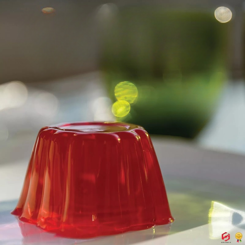 Pudding Cake Mold with Lid DIY - đánh giá và giá Baby Food Jelly