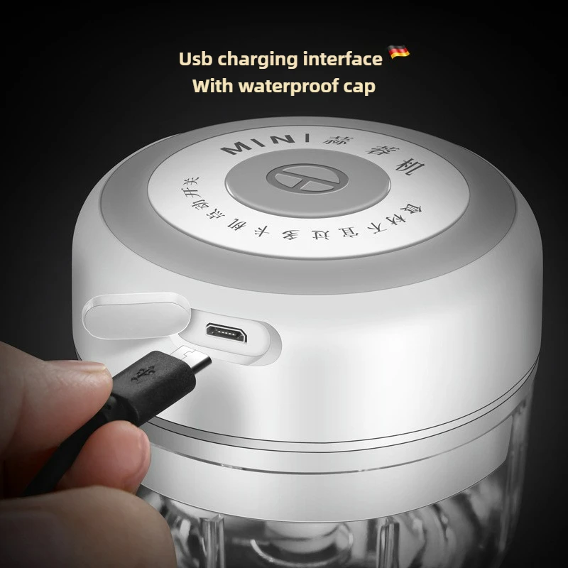 Electric Mini Garlic Chopper 1 - đánh giá và giá Baby Food Vegetable